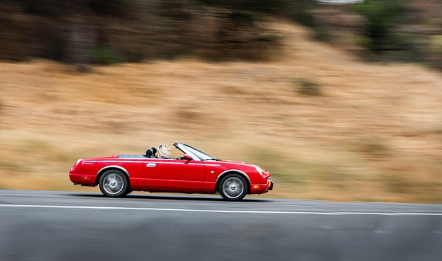 Top Red Flags to Avoid During Vehicle Frame Inspection Services