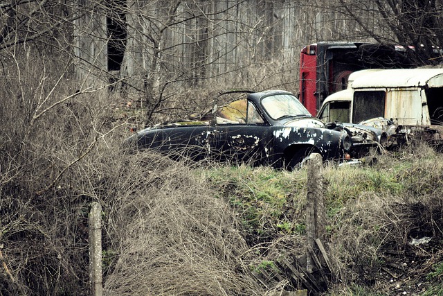 Mastering Vehicle Dent Fixing: Top Tools & DIY Tips for Success