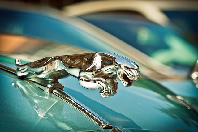 Enhancing Trust: Accident Repair Specialists’ Customer Satisfaction Guarantees