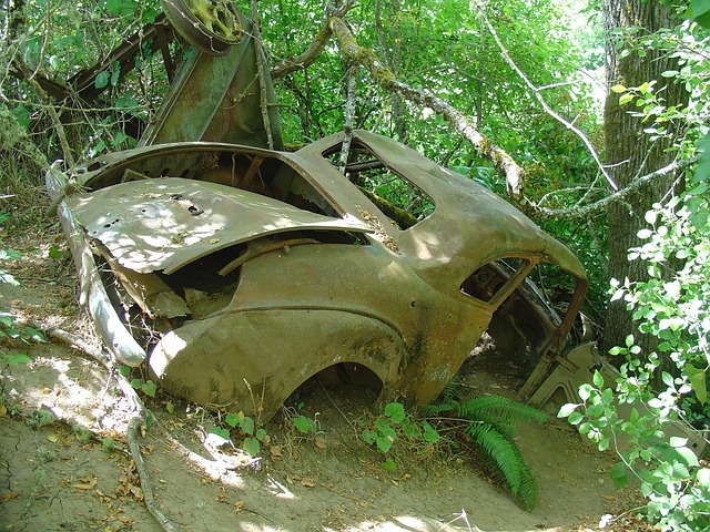 Vehicle Restoration Services: Reviving Daily Drivers and Collectibles