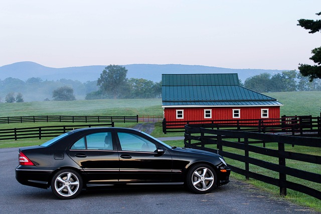 Bumper Dent Removal: Prevent Paint Damage & Rust Formation