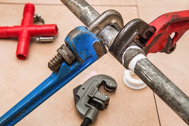 Mobile Estimates Revolutionize Car Body Shop Services