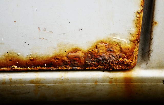 Safety First: Essential Protocols for Automotive Refinishing Shops